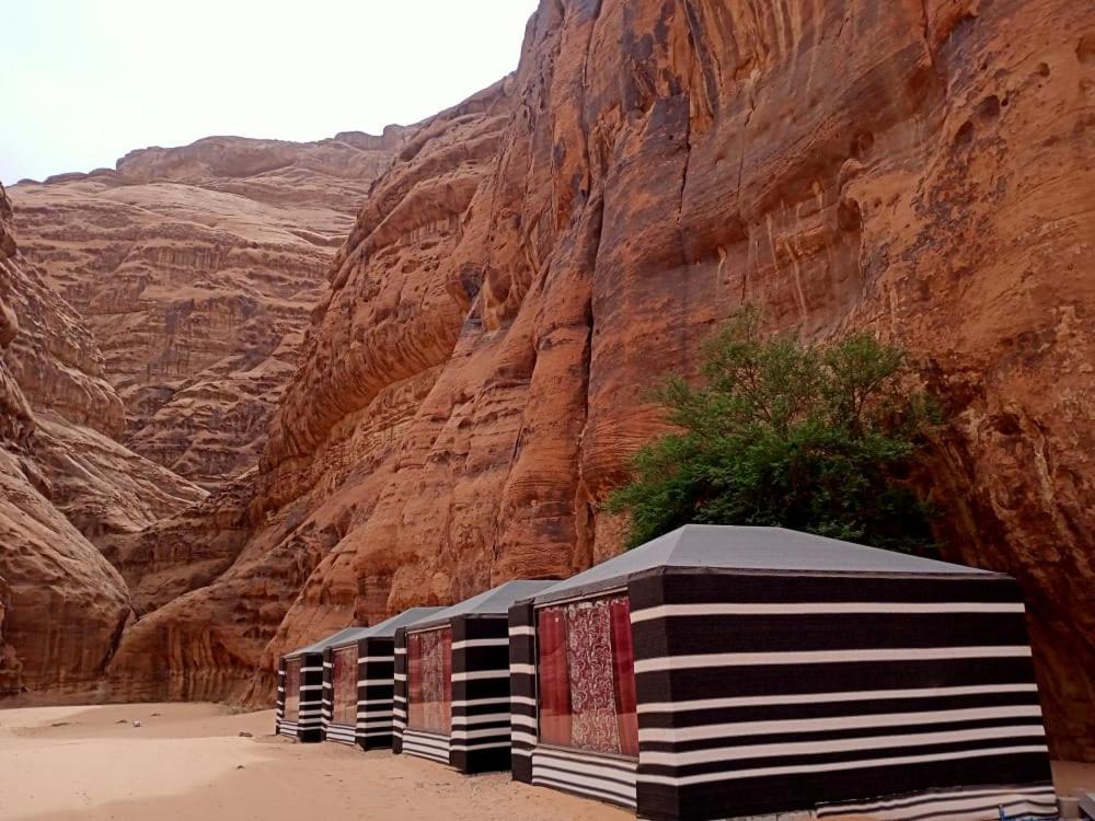 Luxury tent Shahrazad Desert, Wadi