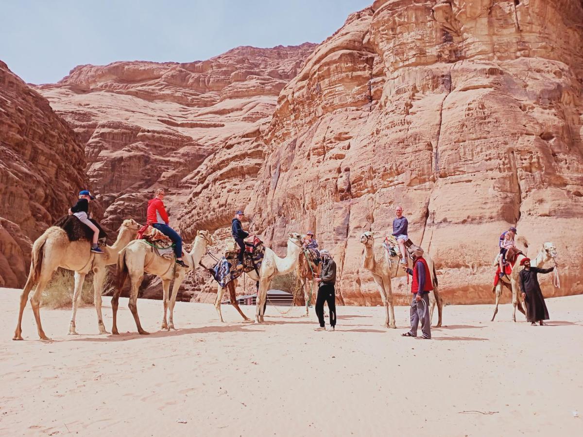 Shahrazad Desert, Wadi