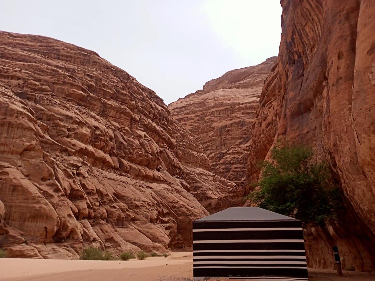 Shahrazad Desert, Wadi