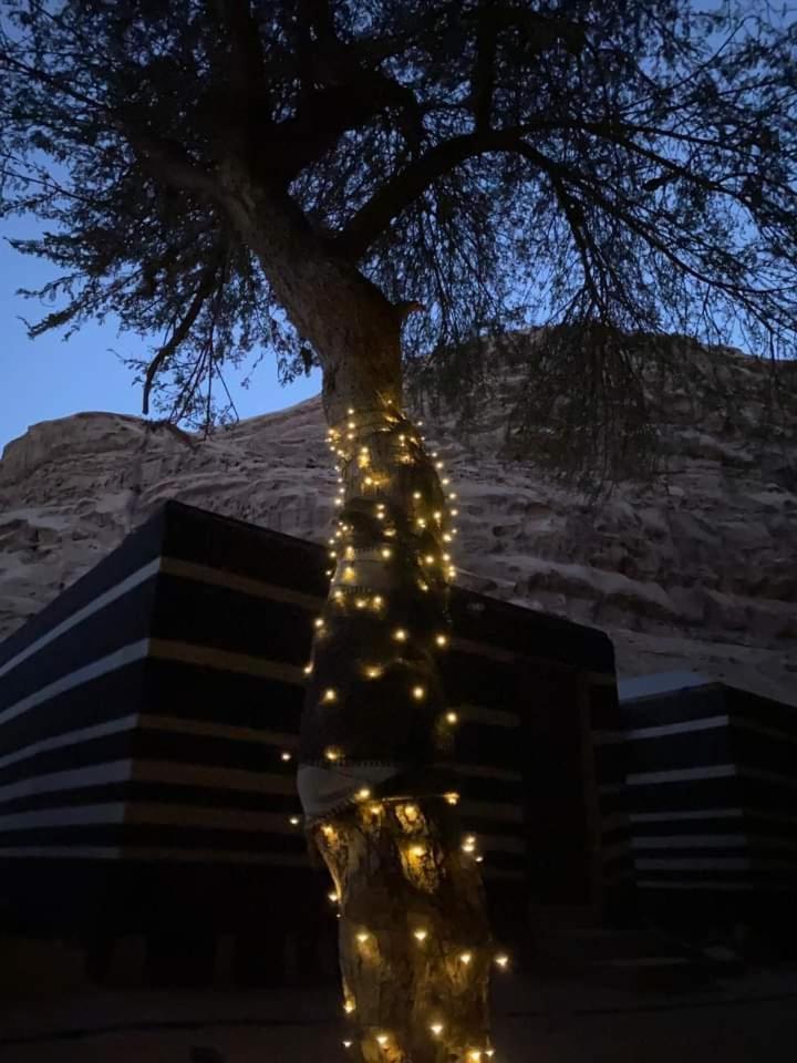 Shahrazad Desert, Wadi Luxury tent *
